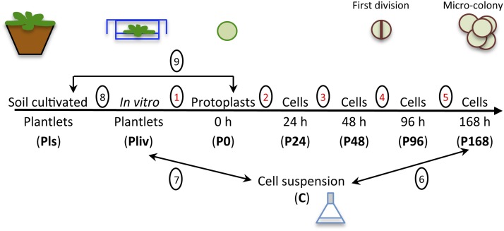 Figure 2.