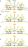 Figure 11.