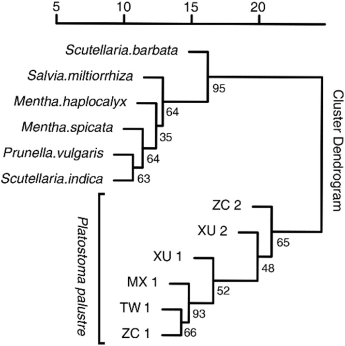 Figure 5