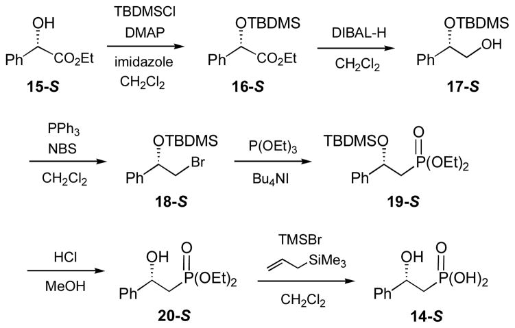 Scheme 3