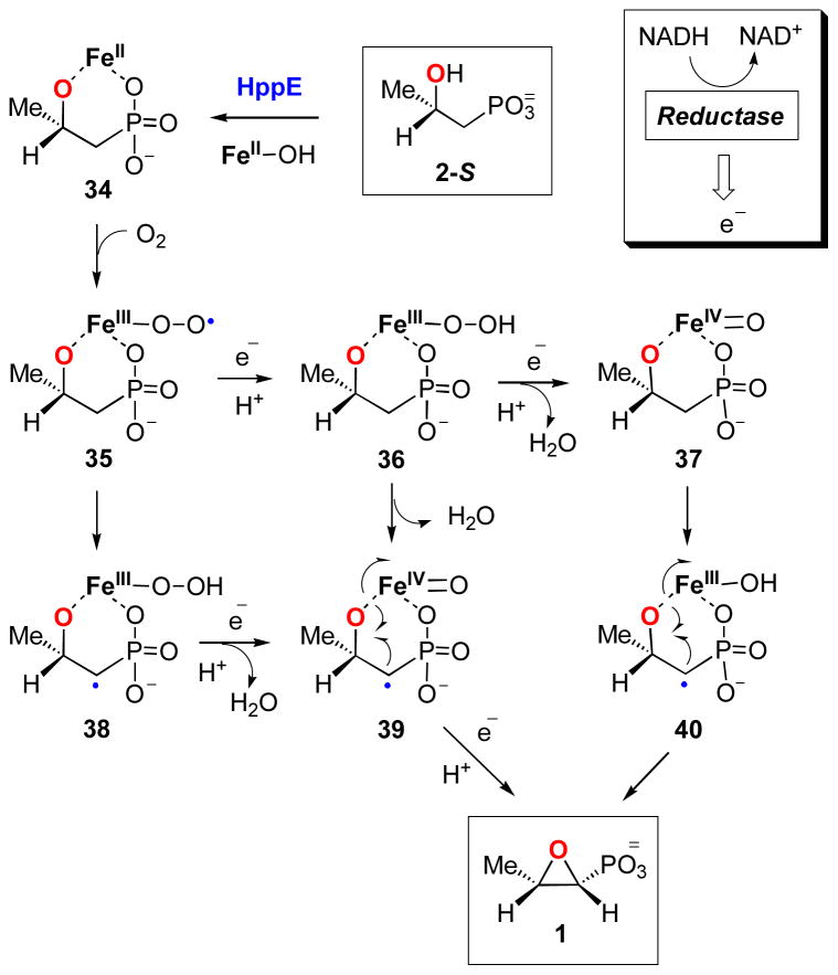 Scheme 7