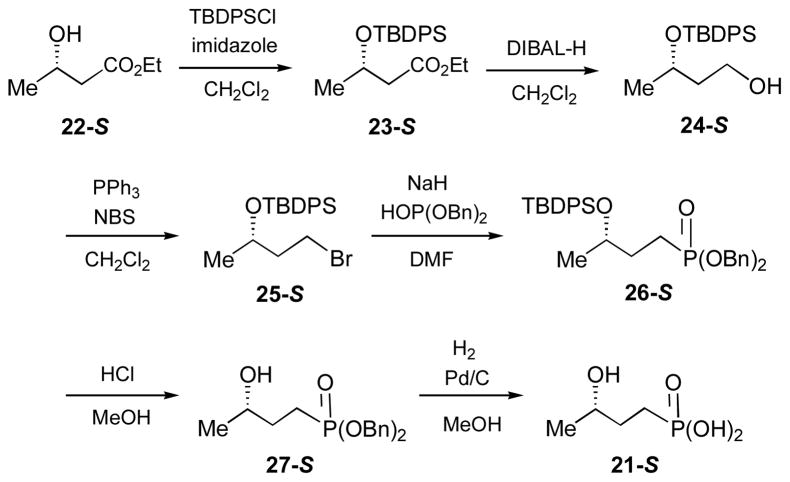 Scheme 4