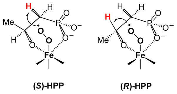 Scheme 6