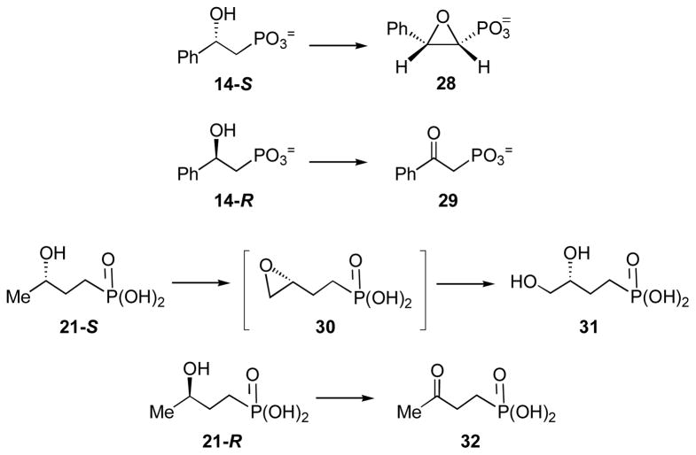 Scheme 5