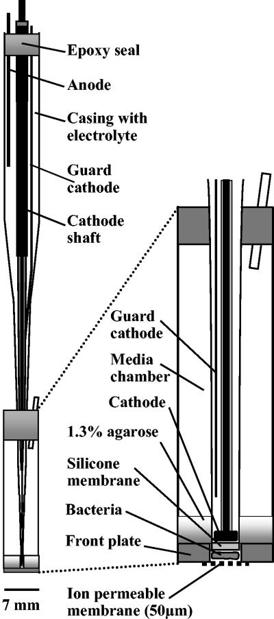 FIG. 1.