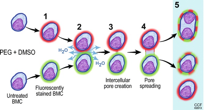 Fig. 72.2