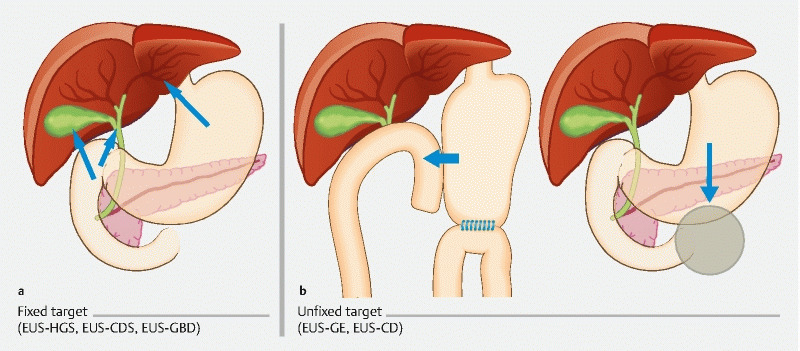 Fig. 5