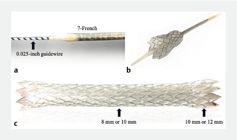 Fig. 1 a