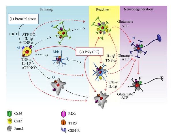 Figure 2