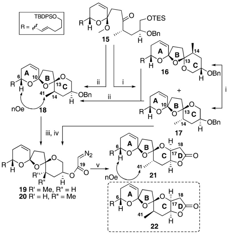 Scheme 3