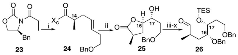 Scheme 4