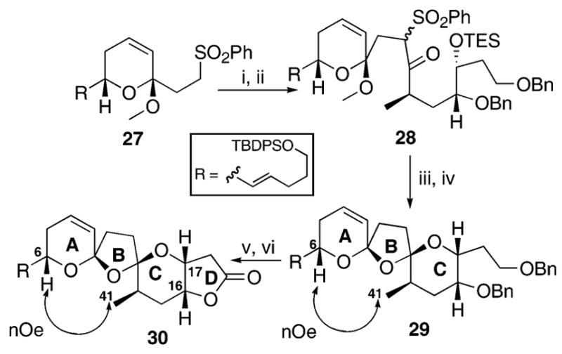 Scheme 5