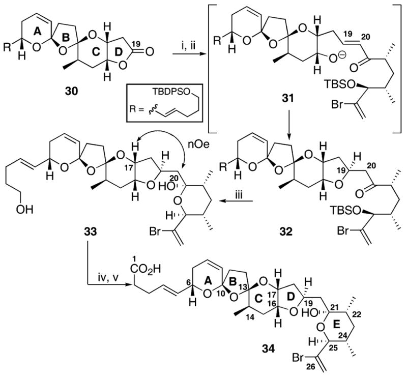 Scheme 6