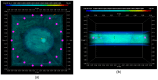 Figure 25