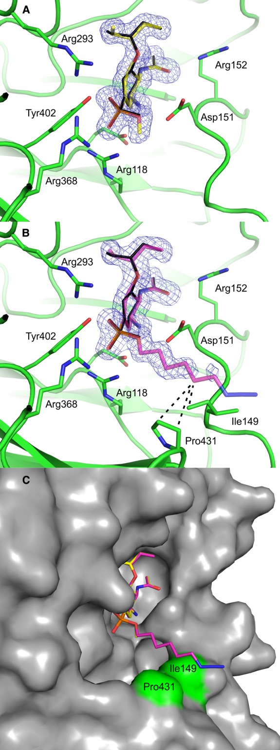 Figure 4.