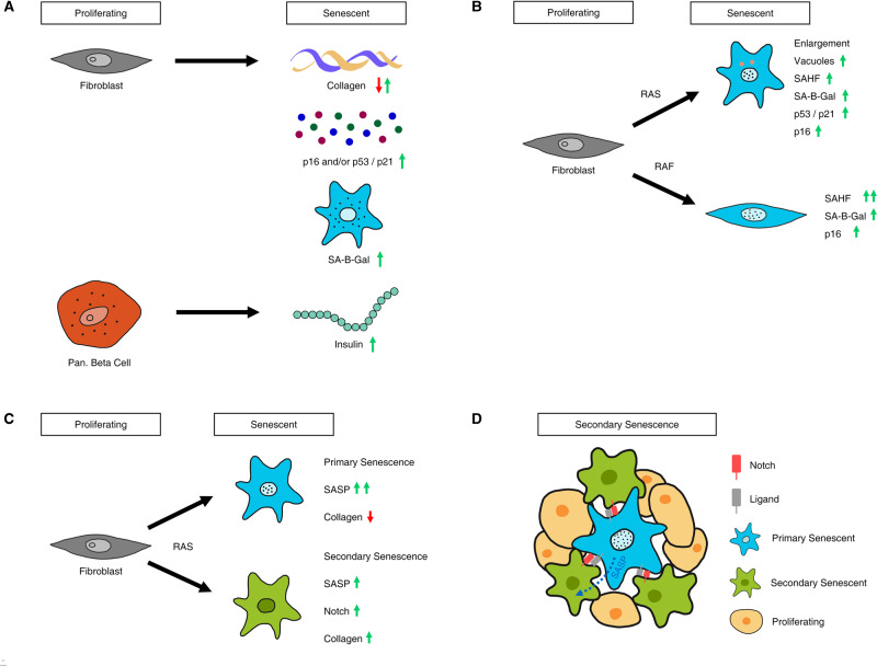 Figure 1.