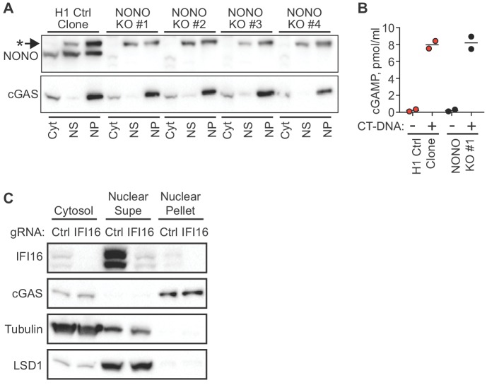 Figure 4—figure supplement 1.