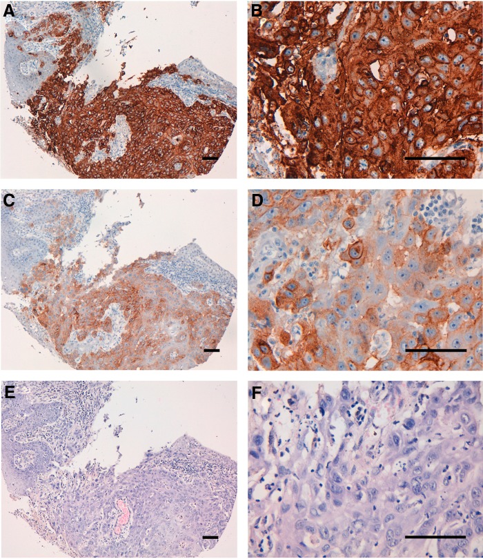 FIG. 6.