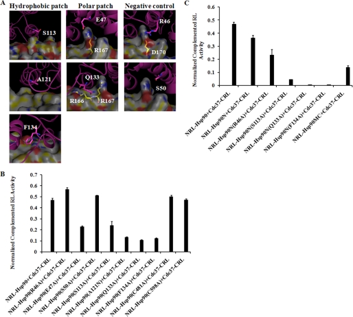 FIGURE 4.