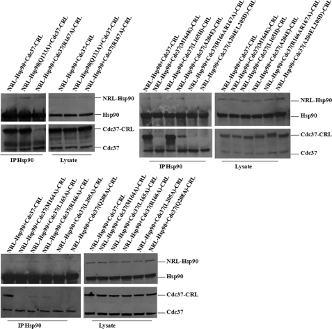 FIGURE 7.