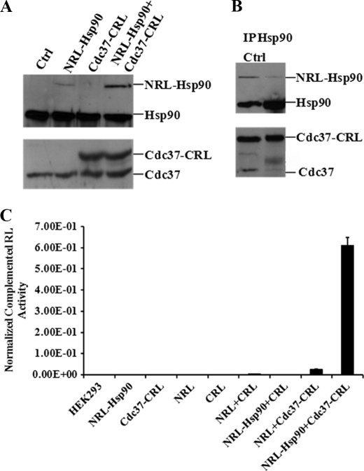 FIGURE 2.