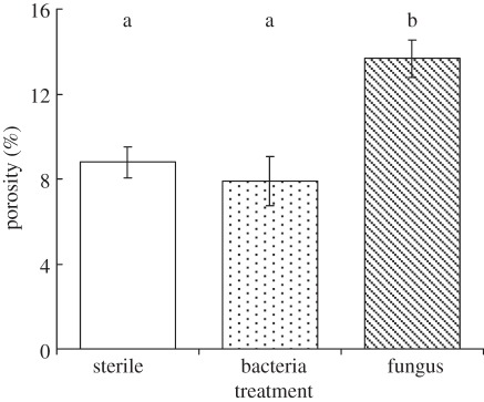 Figure 2.