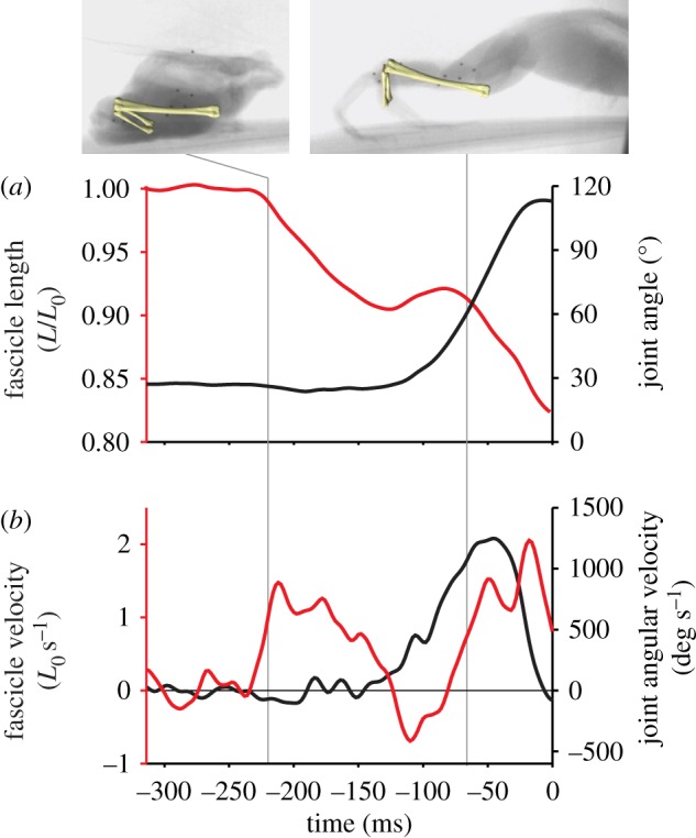 Figure 1.