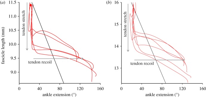 Figure 2.