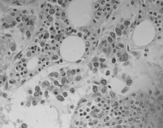 Fig. 1