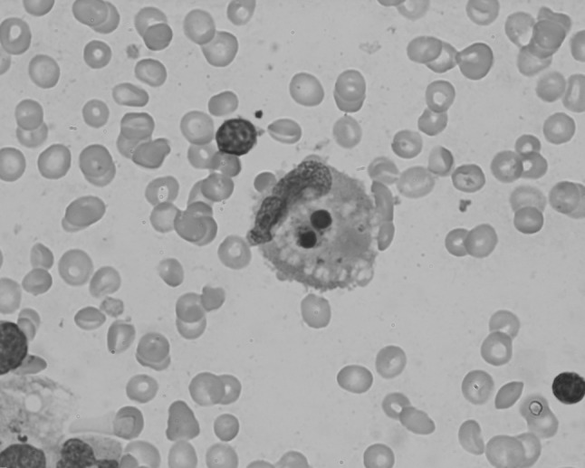 Fig. 3