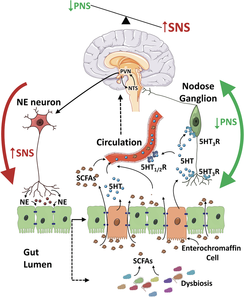 Figure 1: