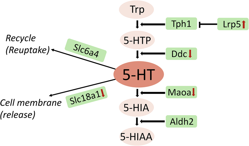 Figure 2: