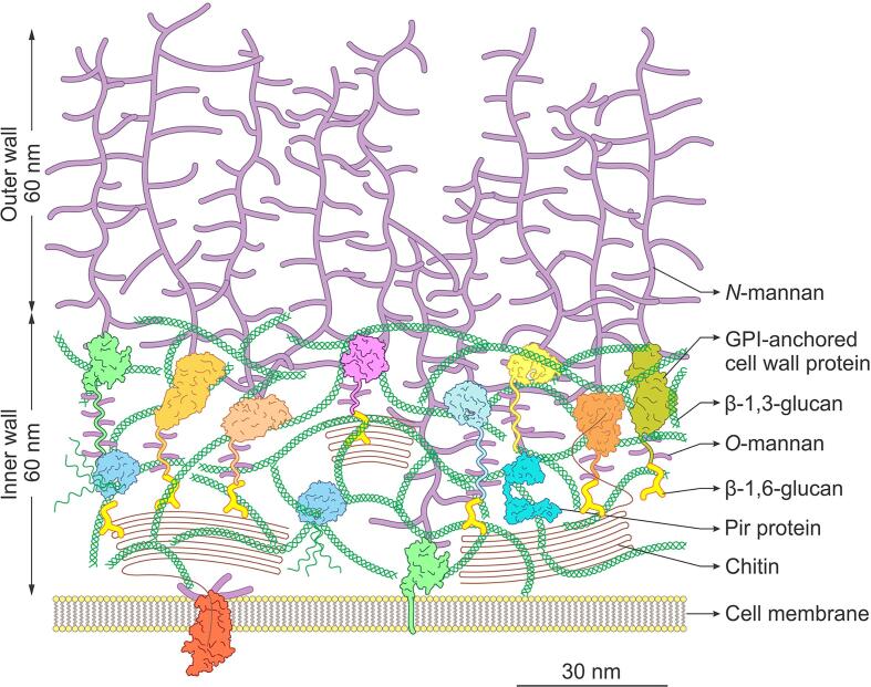 Fig. 6