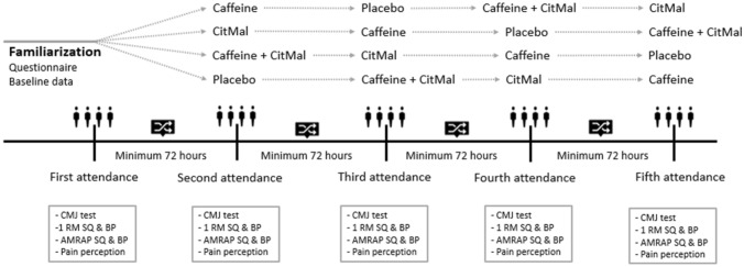 Fig. 1