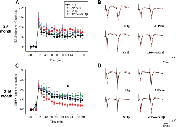 Figure 5.