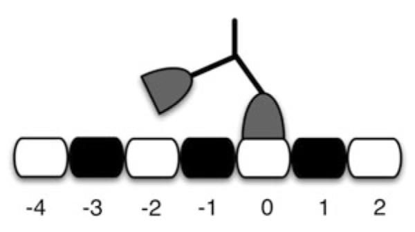 Fig. 5