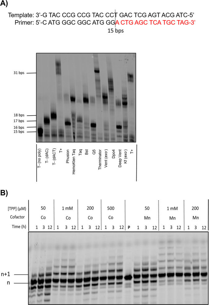 Fig. 9