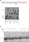 Fig. 9