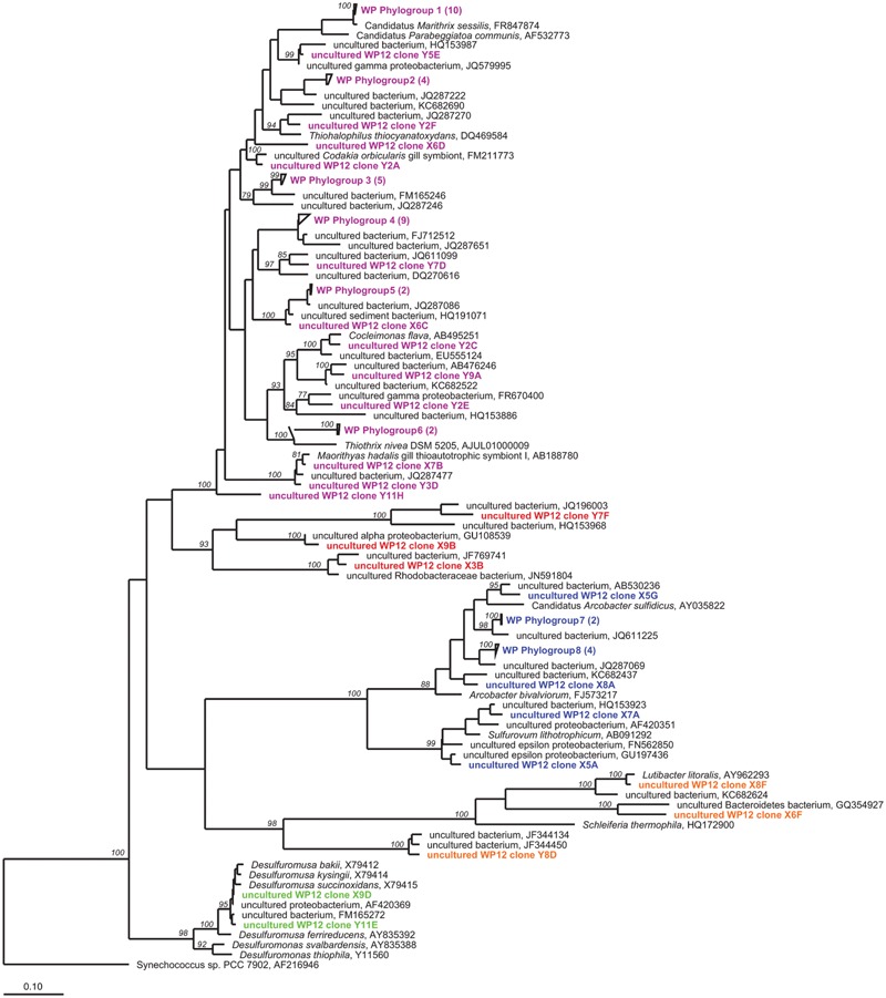 FIGURE 2