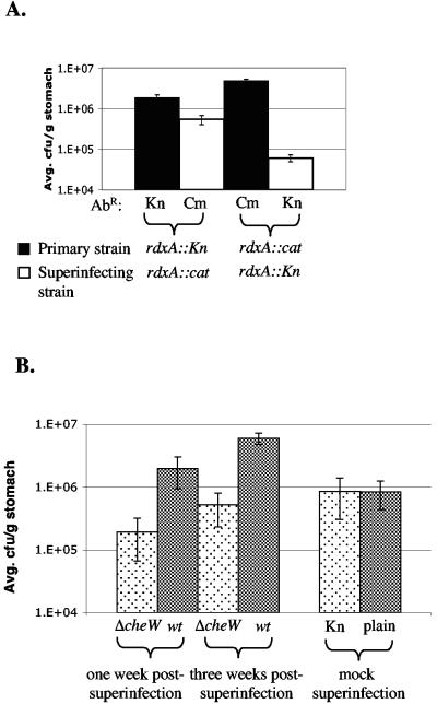 FIG. 2.