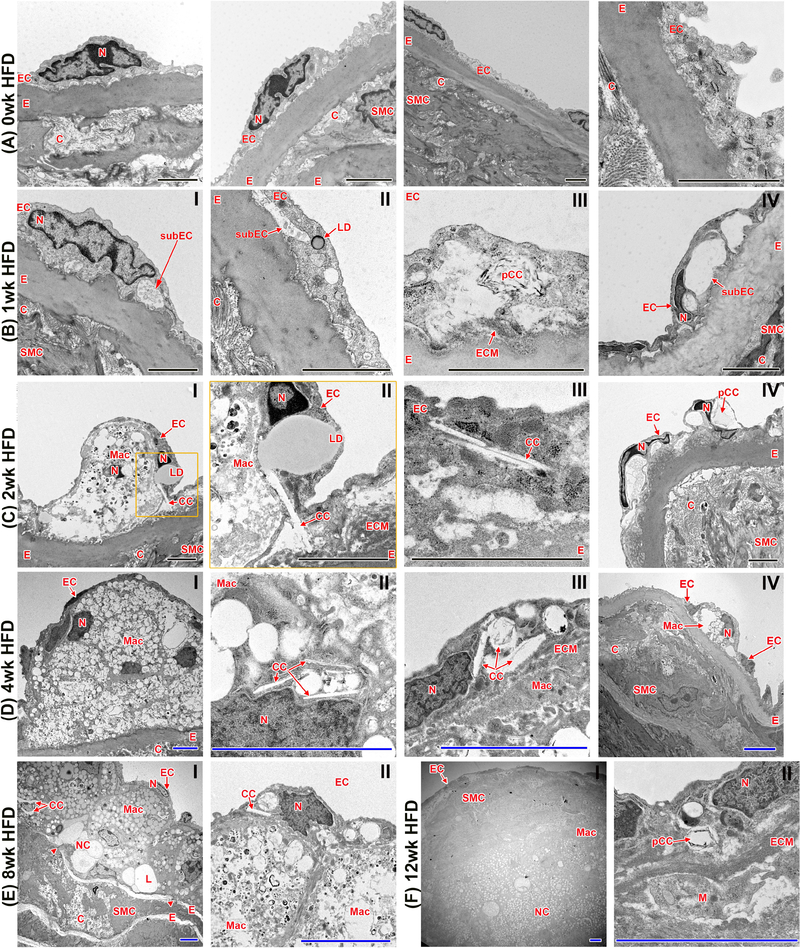 Fig. 5: