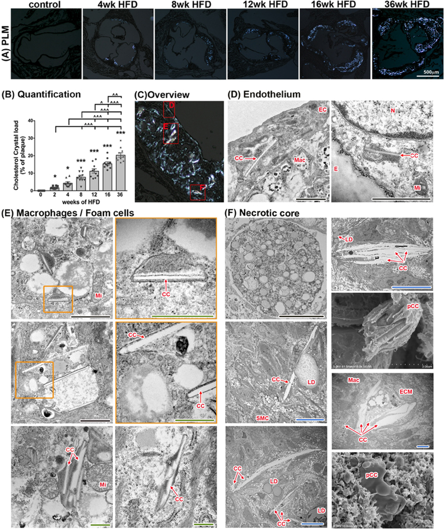 Fig. 4: