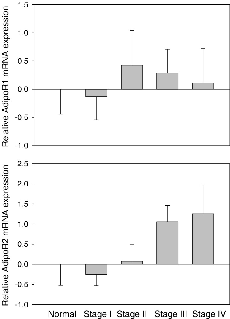 Fig. 2