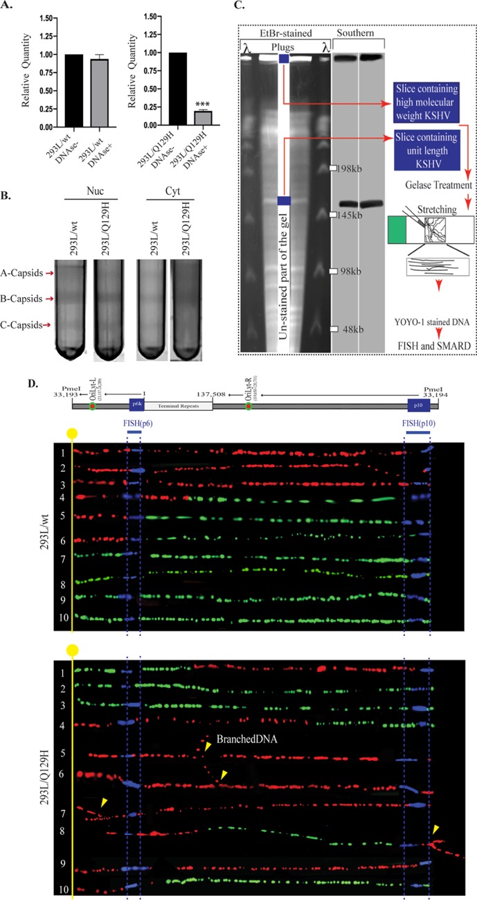 FIG 3