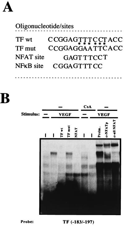 FIG. 5