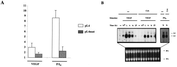 FIG. 8