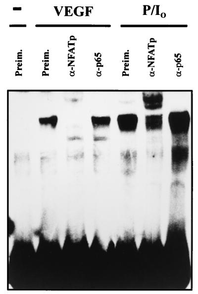 FIG. 6