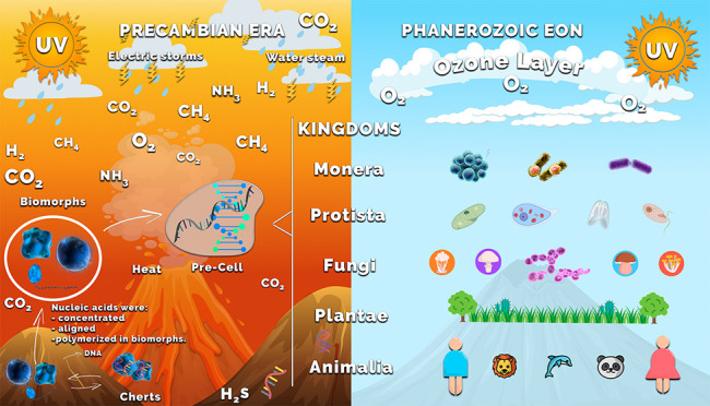 graphic file with name ao2c04170_0007.jpg