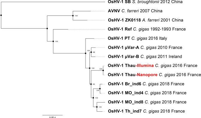 Fig. 8.