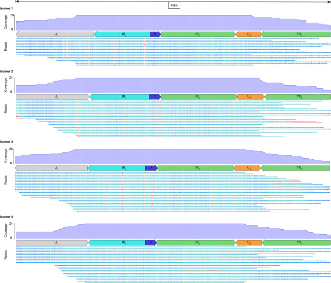 Fig. 6.